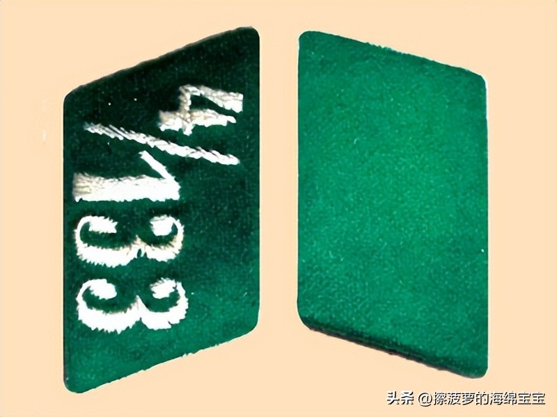 纳粹冲锋队用的什么枪,纳粹德军军衔图解