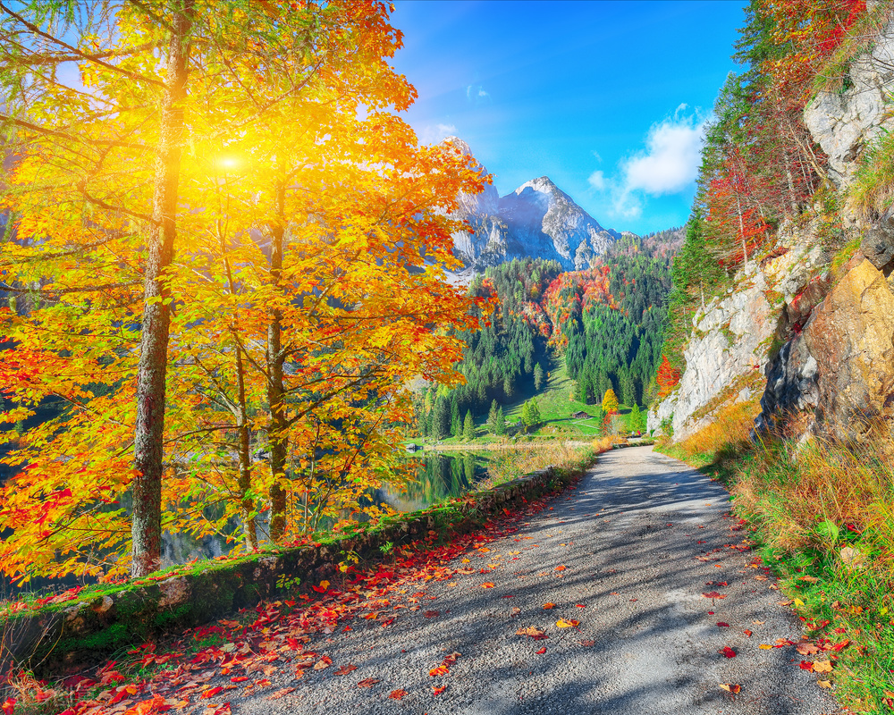 中年婚姻全集视频,中年婚姻全文