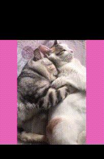 纹身为什么要三思而后行,颈部纹身三思而后行