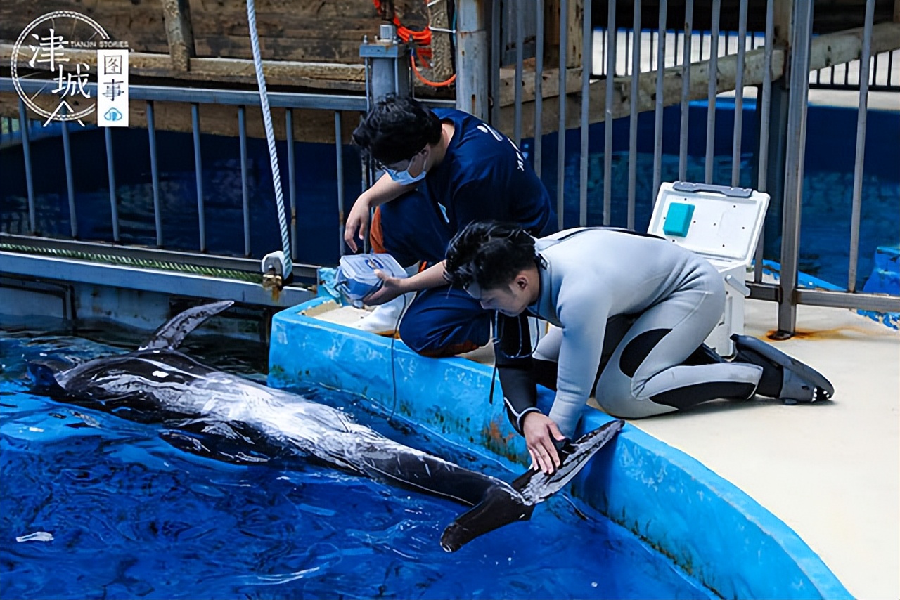 「津城图事」两个月颜值逆袭爹妈，天津这位“混血王子”可真好看