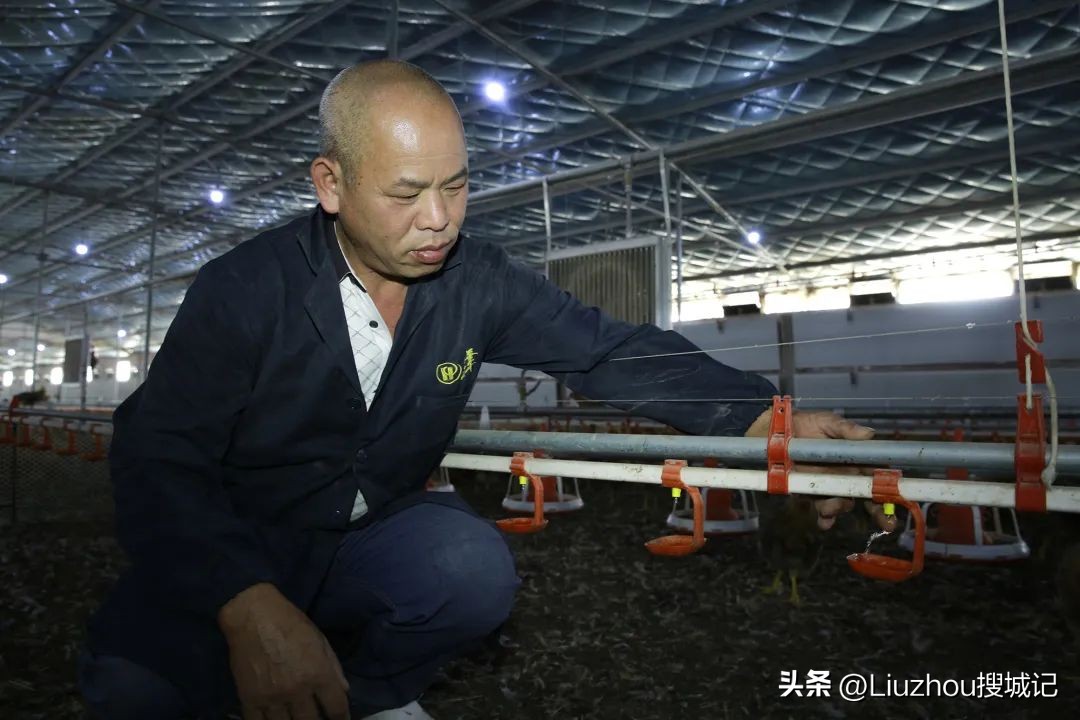 跟着广播看乡村,跟着老乡看乡村振兴