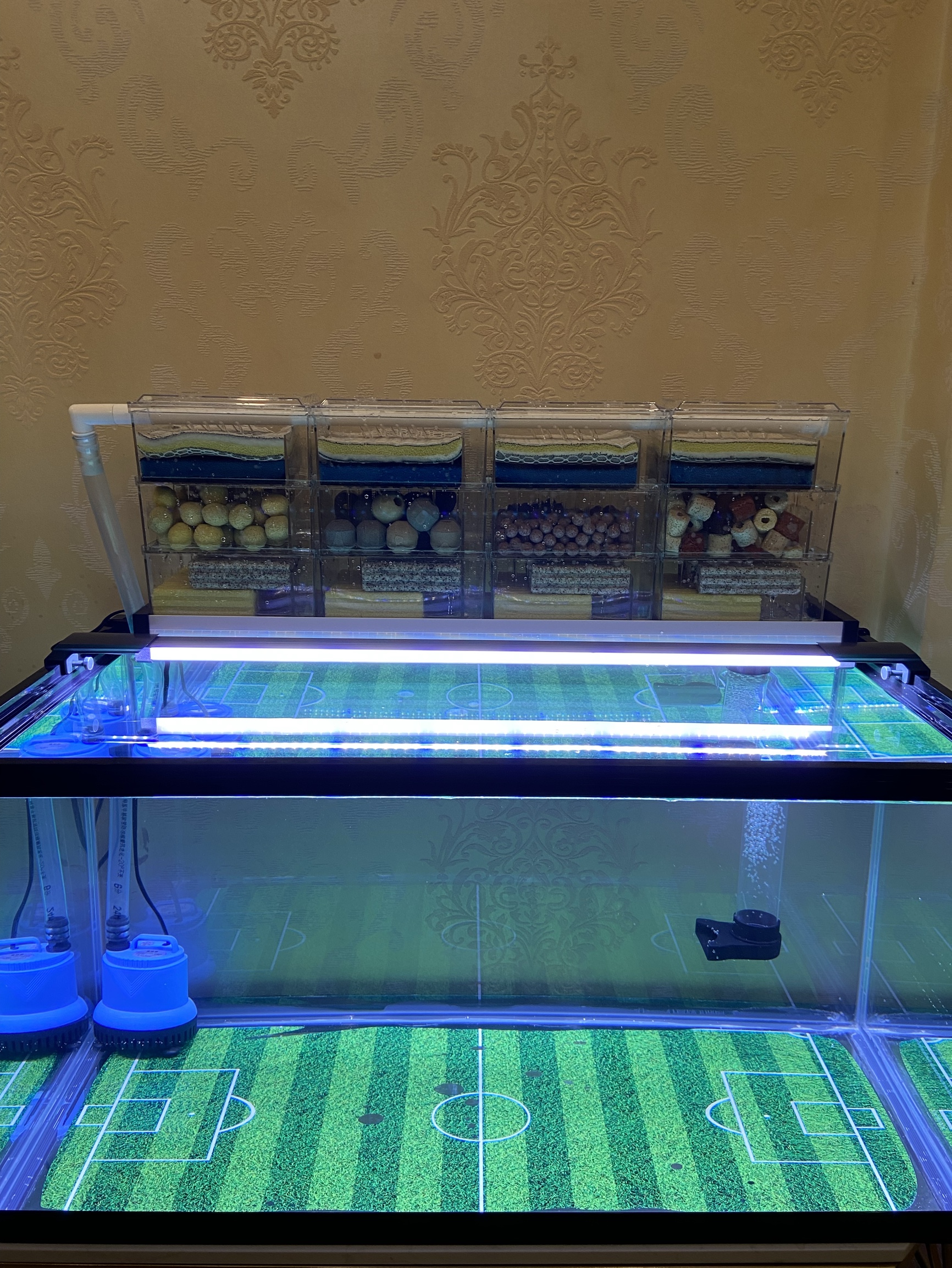 养鱼一定要开缸吗,新手养鱼开缸教程合集