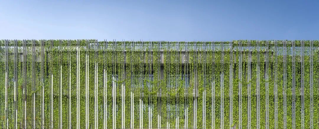 在植物园工作是一种什么体验,在植物园工作怎么样