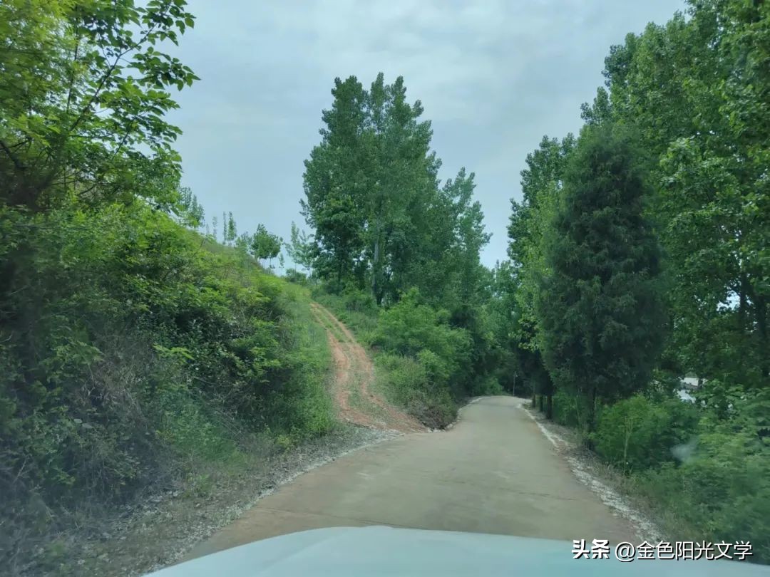 西安洛阳开封旅游游记,西安洛阳七日深度游