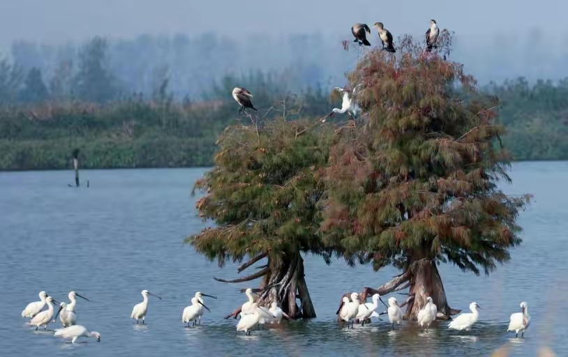 泰州兴化风景,泰州兴化名胜古迹