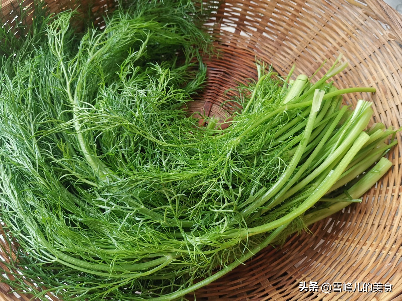 它是天然护肝菜,冬天养生护肝菜