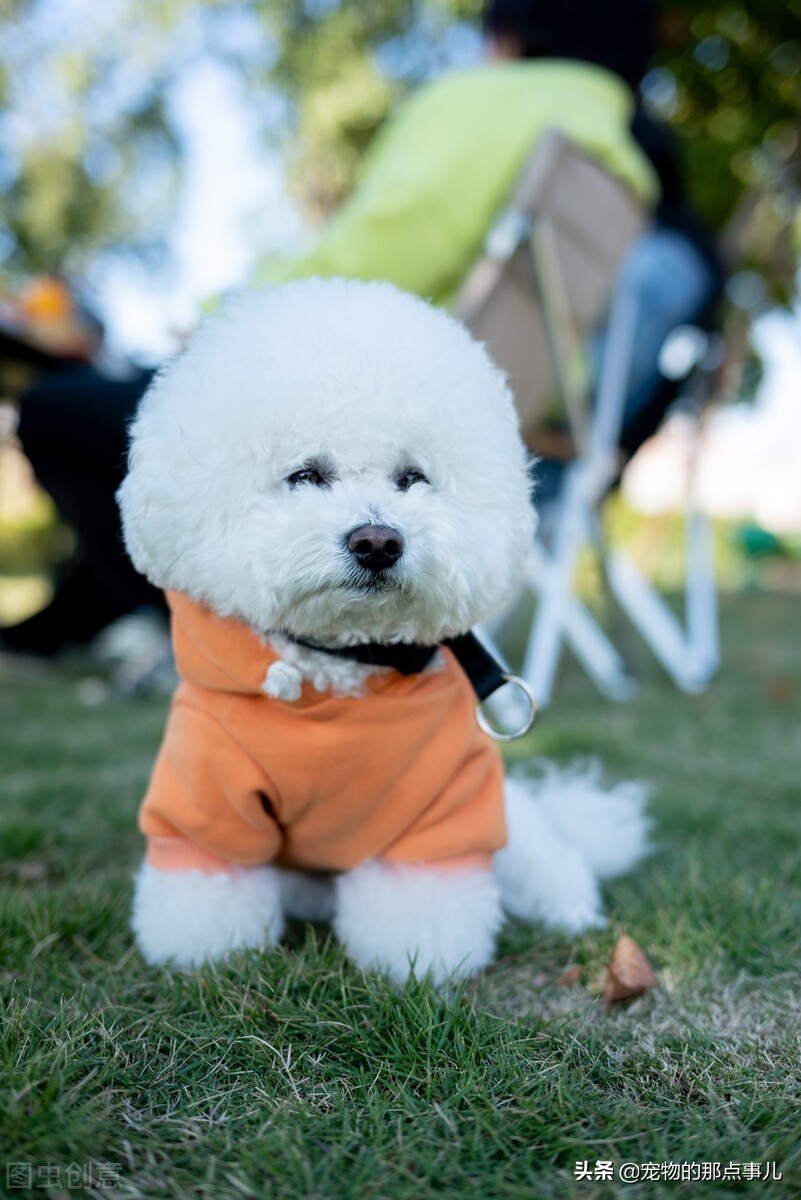 去一次宠物医院处理伤口多少钱,去宠物医院一次要多少钱