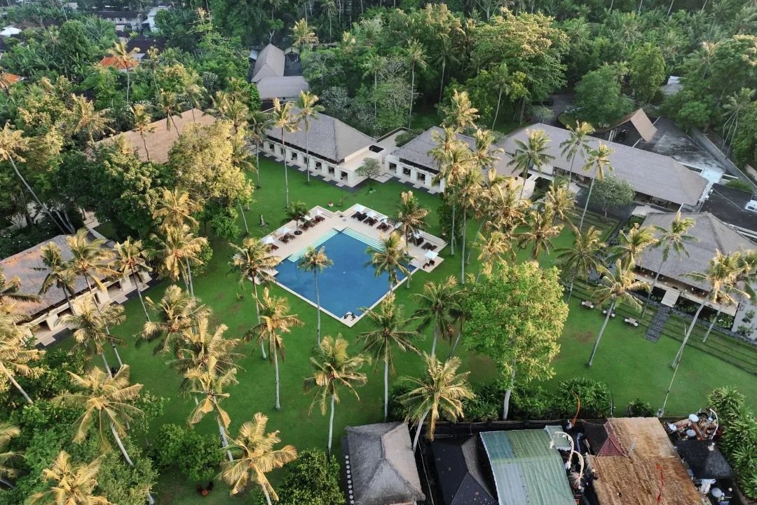 这可能是全球性价比最高的一家阿丽拉