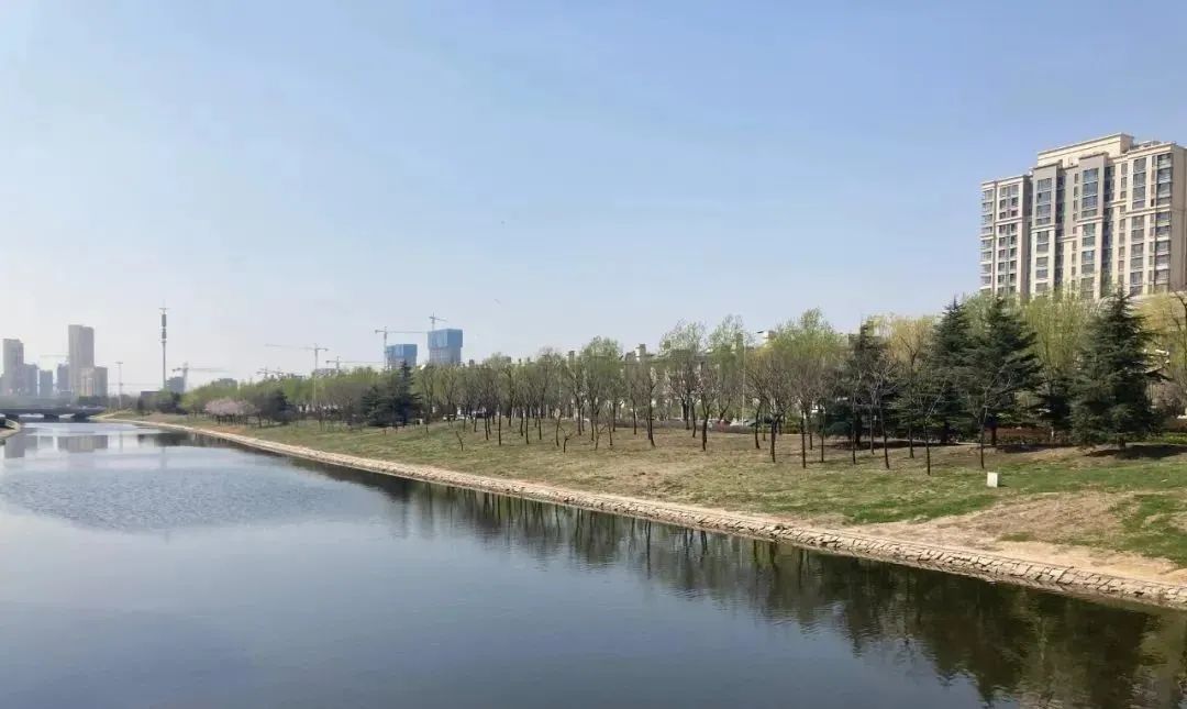 性价比之王怎么样,性价比之王值得购买吗