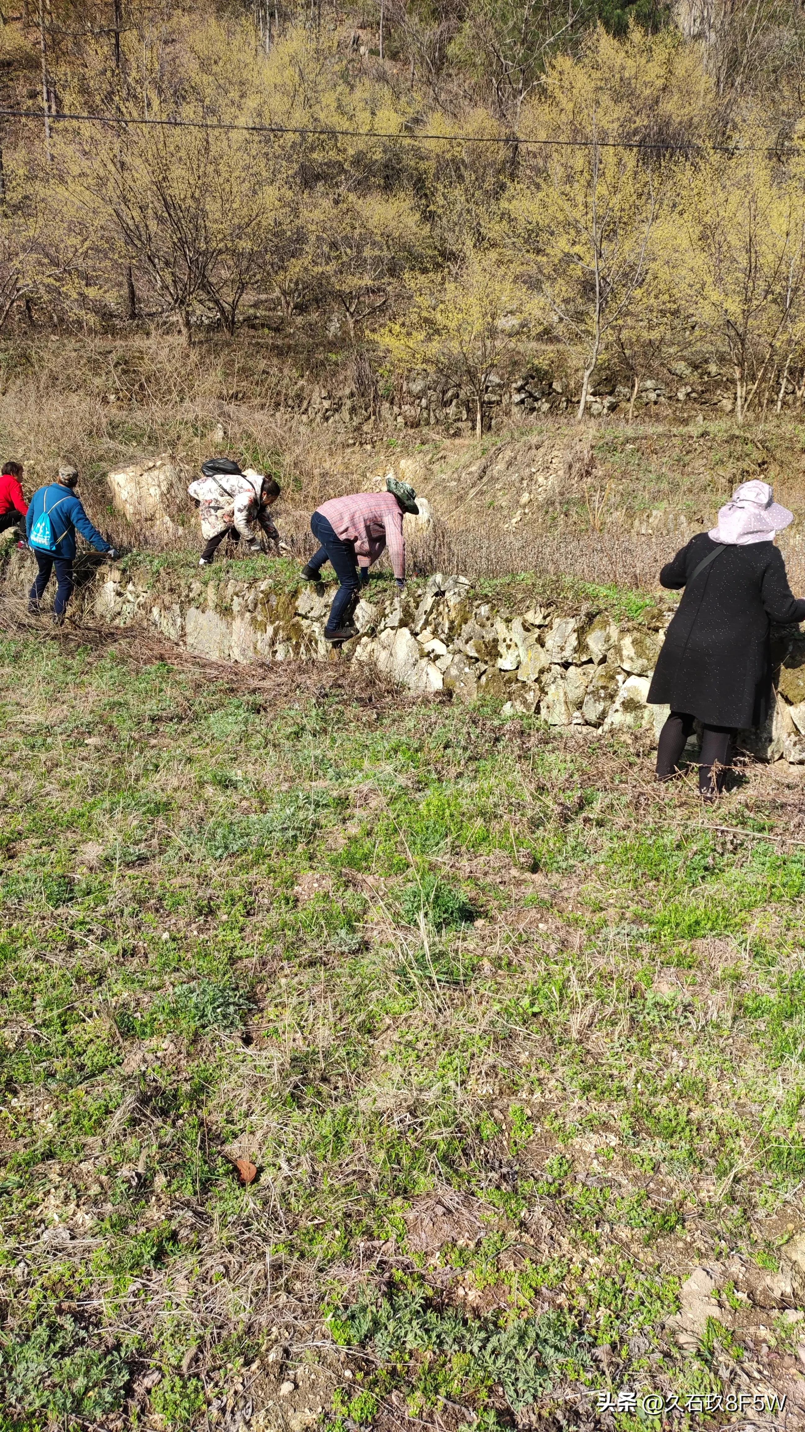 村干部已成高危职业，为何还有人争当“恶贯满盈”的村干部
