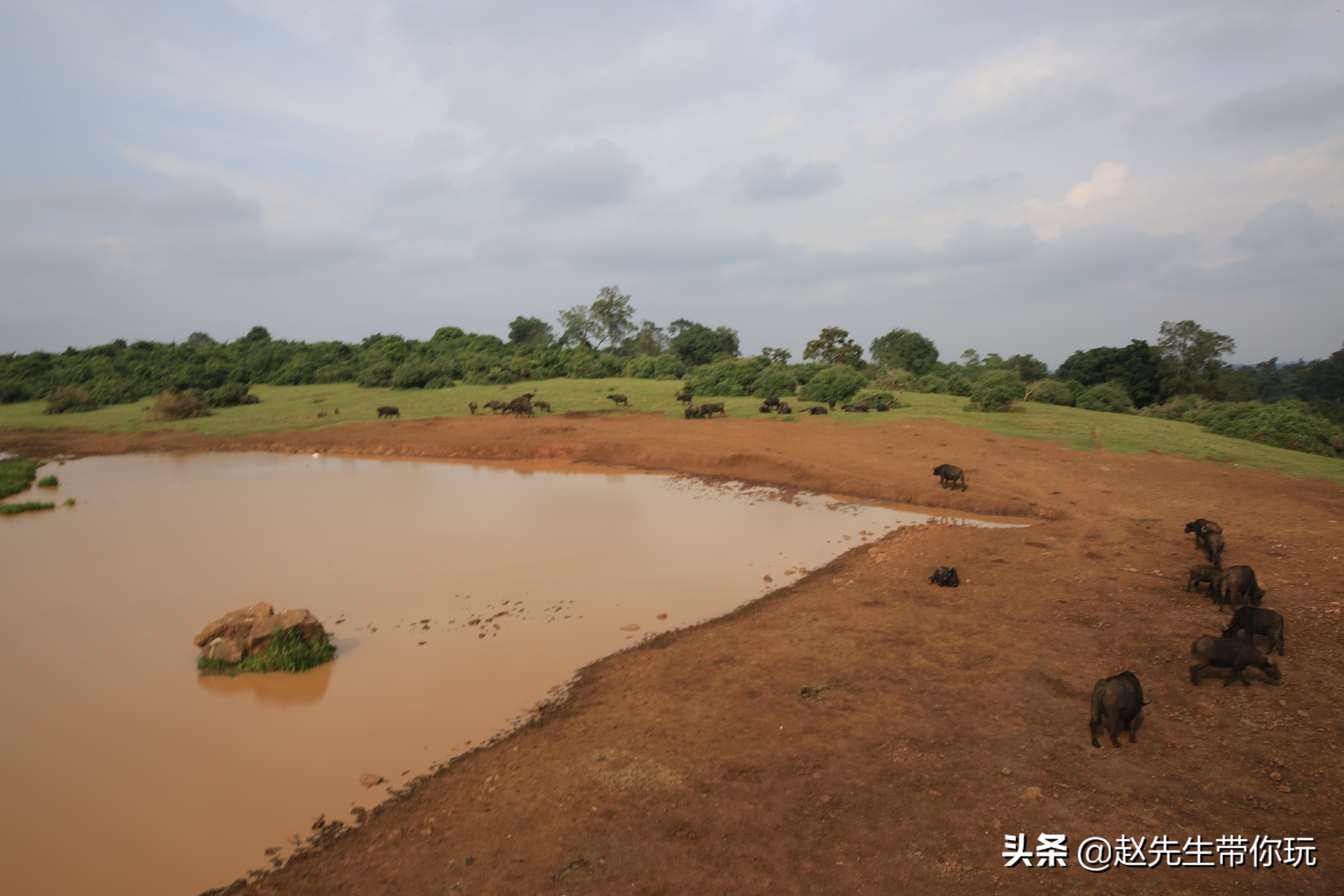 二十年游历分享之202:非洲19:肯尼亚18尼耶利的方舟酒店