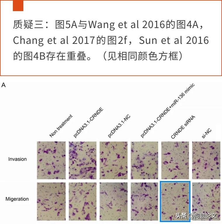 因明显图片重叠争议，上海市第八人民医院的论文被广大学者质疑
