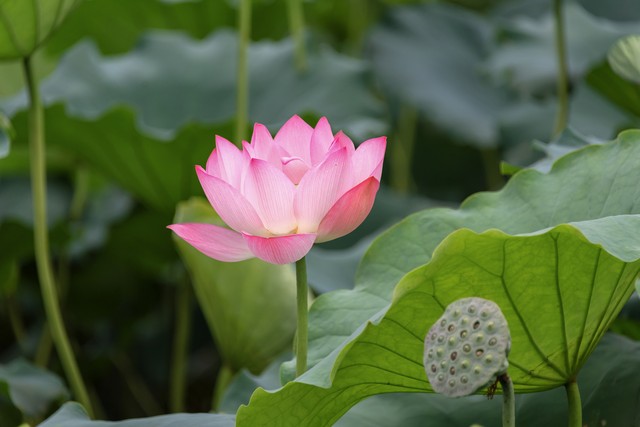 对考研和读研有何想法和建议,读研和考研的经历会给我们带来啥