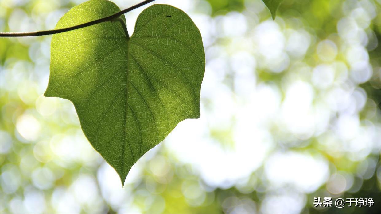 从穿衣搭配就能看出一个人的性格 (穿衣打扮张扬的人性格)