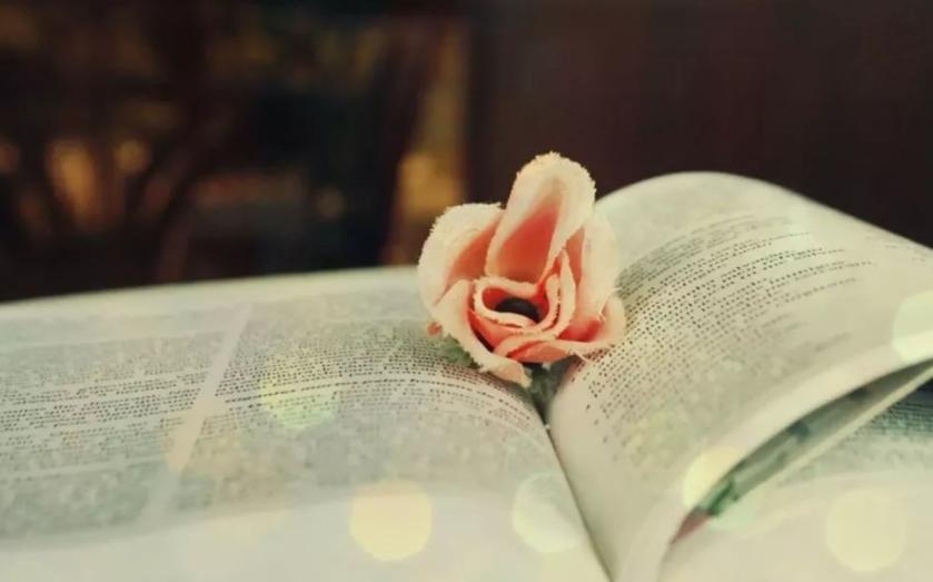 读书是摆脱焦虑的唯一方式,读书是摆脱原生家庭的唯一出路