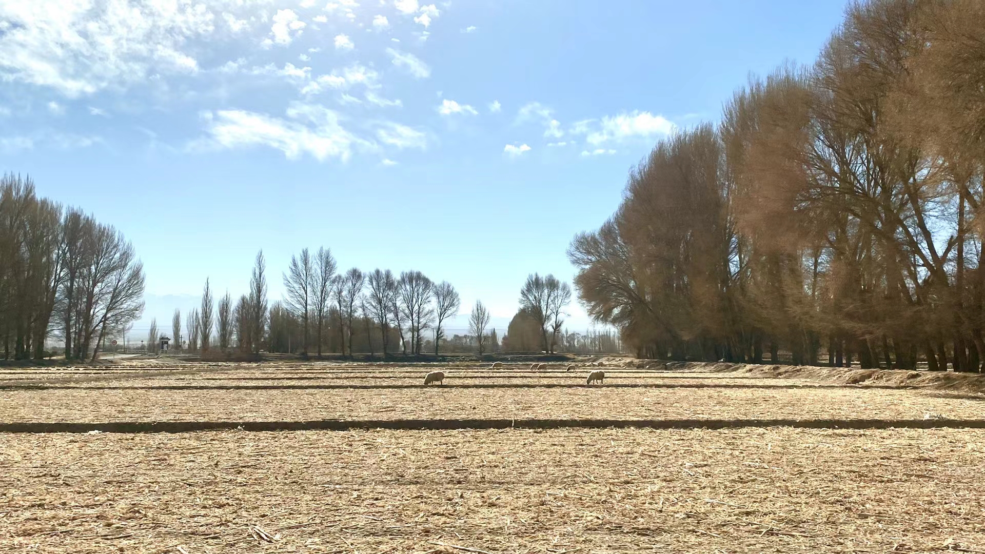 第三次的罗布泊之行,夜间罗布泊之行