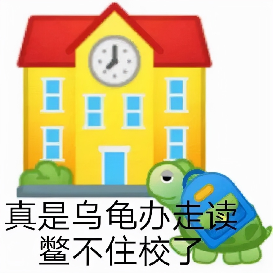 北约制裁俄罗斯的猫,俄罗斯的猫被制裁了是怎么回事