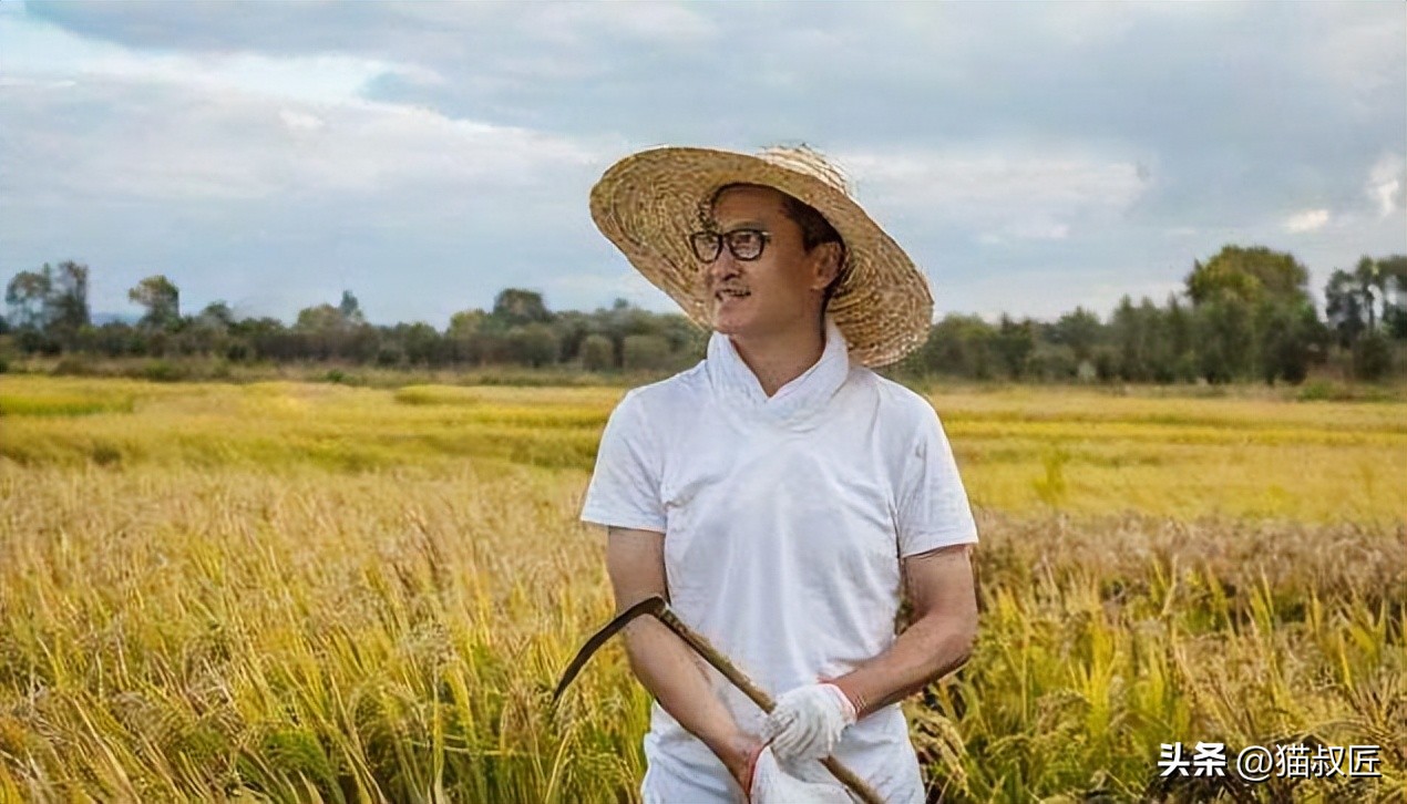 二十年前的他们,20年前互换身份的结局