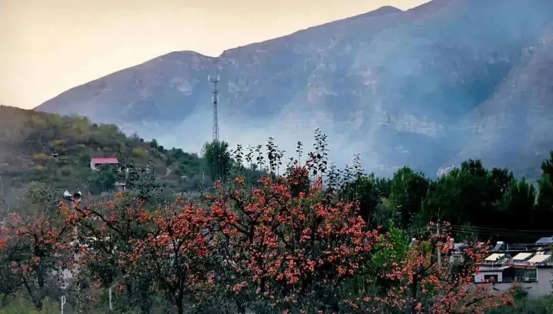 悬念揭晓在即,悬念揭晓视频
