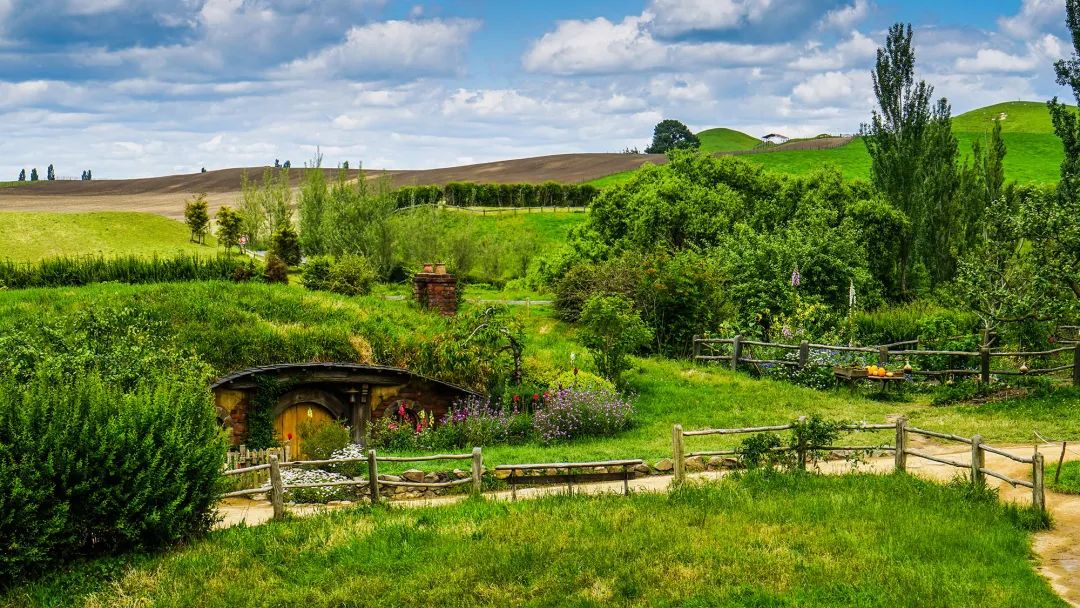 写给不被疫情束缚的心:用文字“云”游新西兰全境