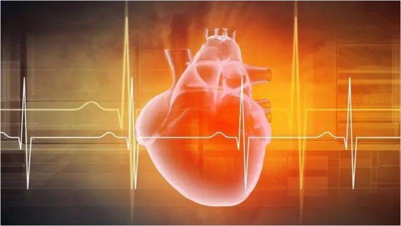 肾病高血压可以吃阿利沙坦酯,国产新药阿利沙坦酯保护心肾