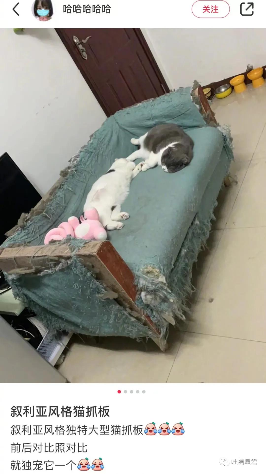 41万卡地亚后续,四十万买卡地亚被看不起