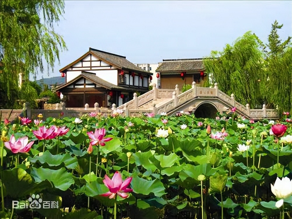 浙江第三城之争,诸暨vs乐清