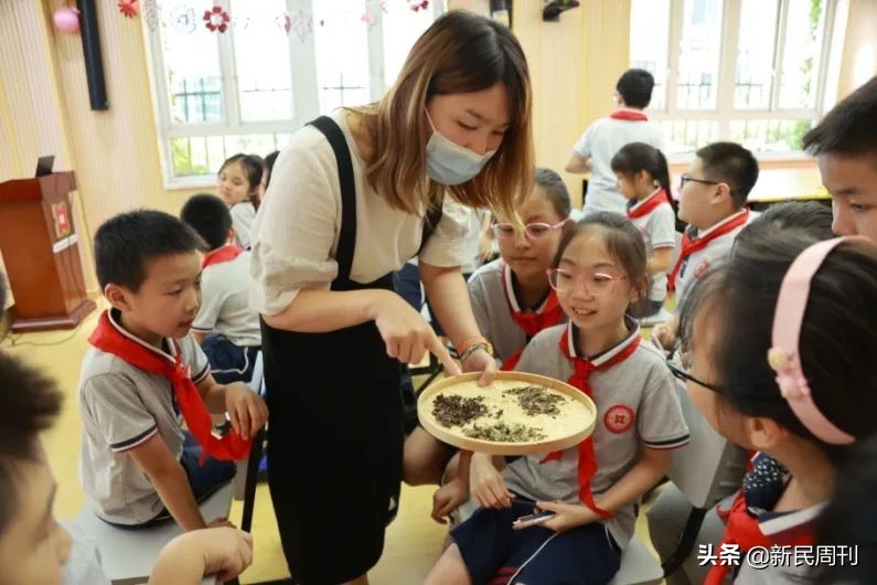 良医|“慢郎中”快了，上海这家中医医院又精又美又贴心