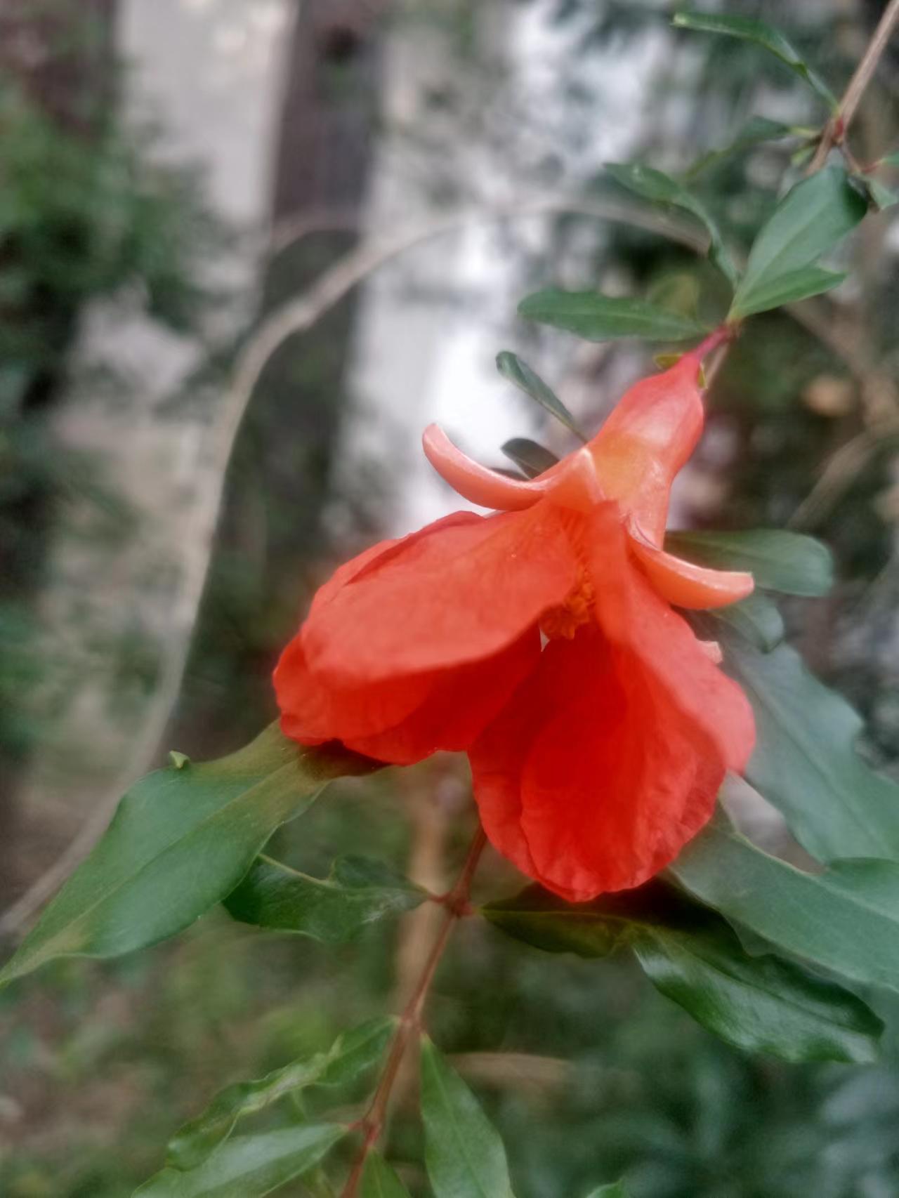 维修伤感文案,让人无语的维修