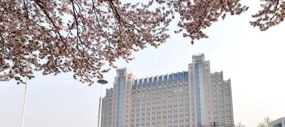 全国播音与主持艺术专业大学排名,播音与主持艺术专业院校排行