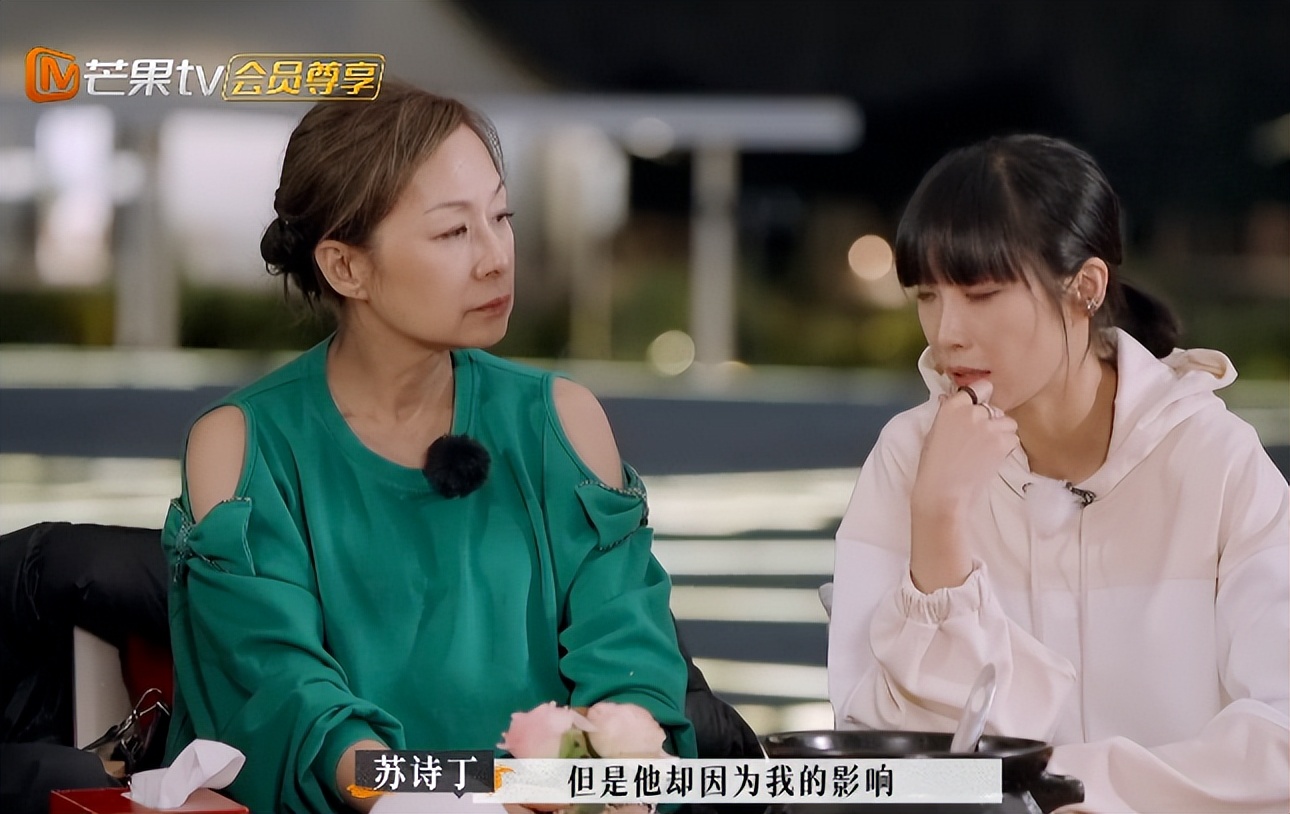 苏诗丁和卢歌再见爱人结局,再见爱人2苏诗丁和卢歌复合了吗