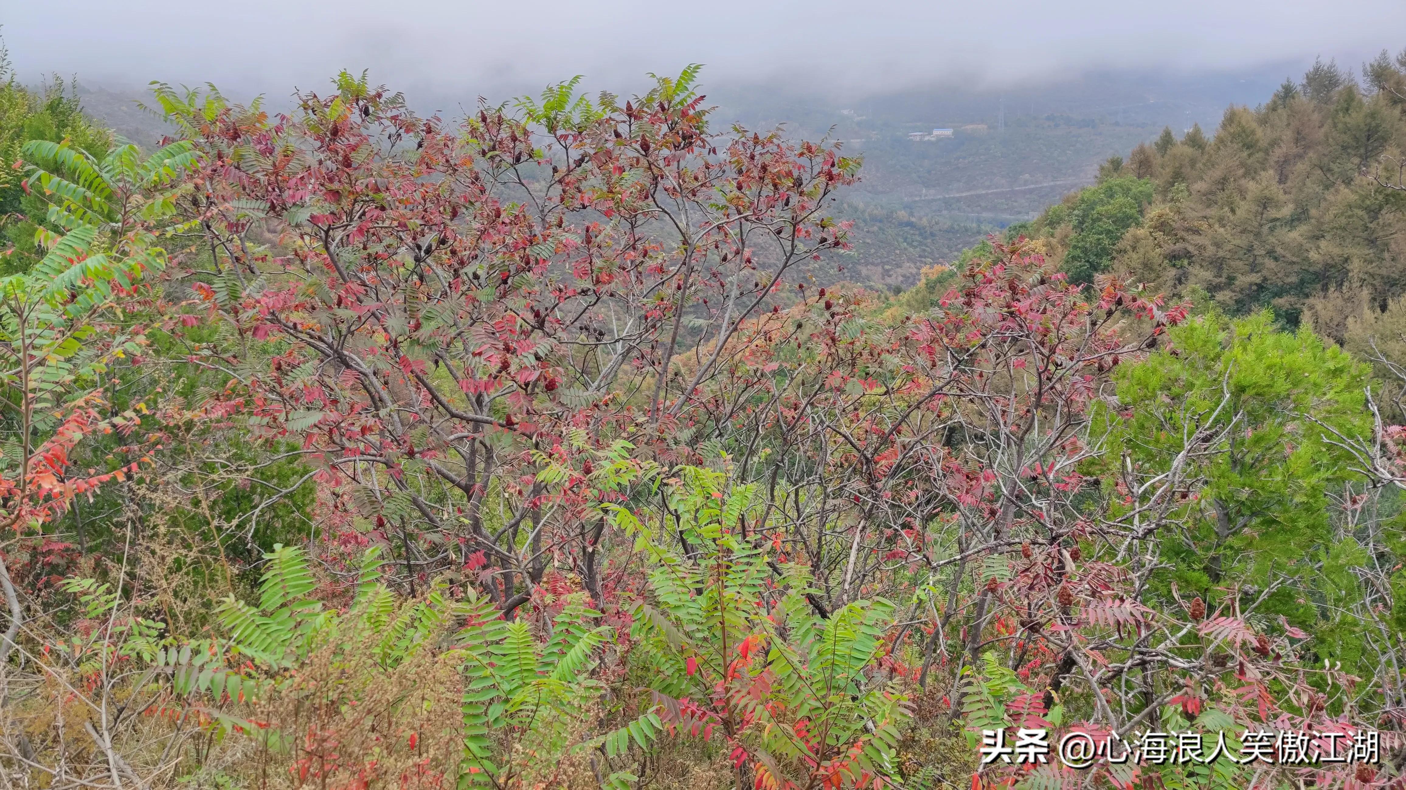 国庆北京自驾风景游,国庆节北京骑行夜景