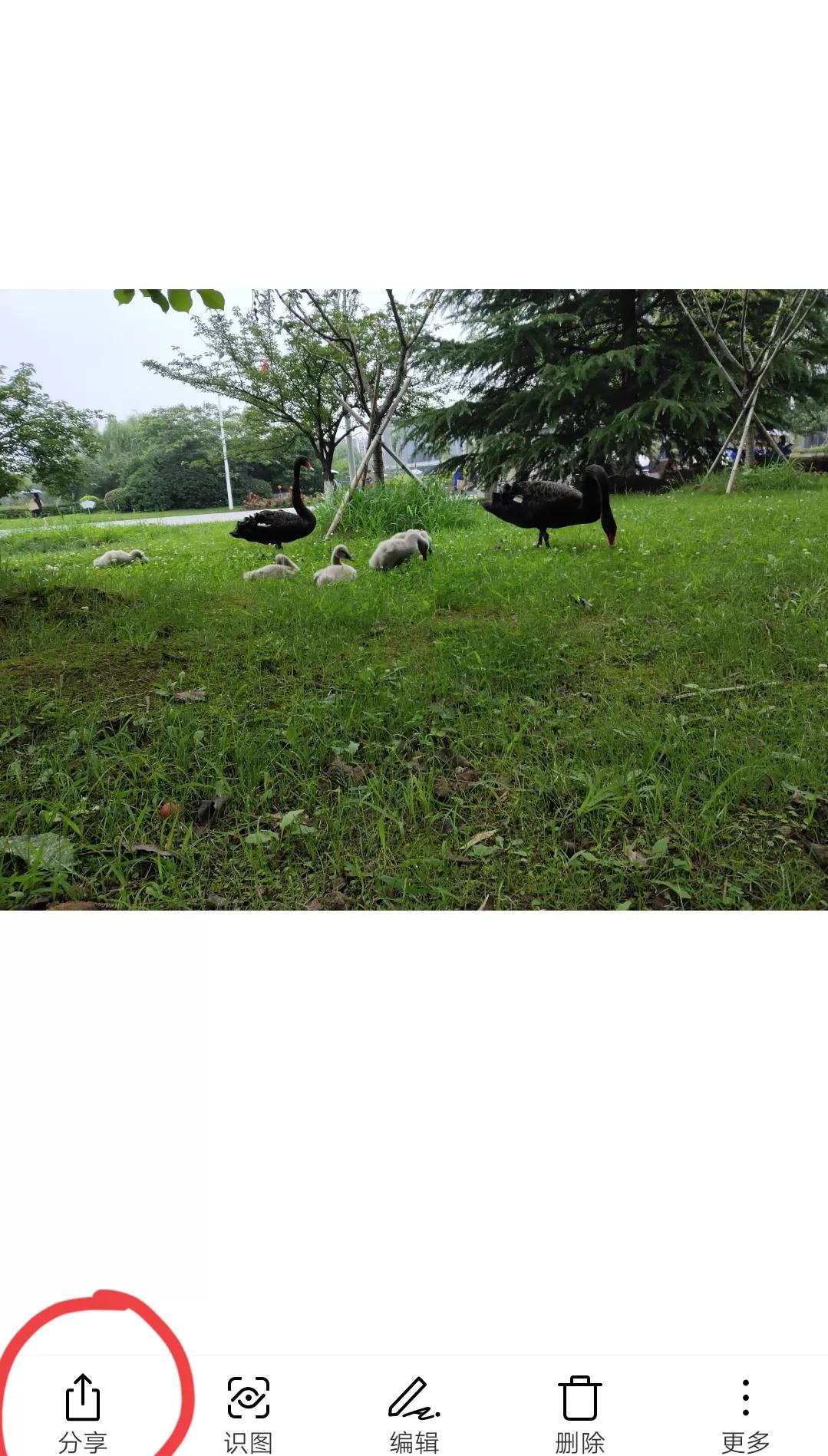 蓝牙设备和手机连接交互过程,手机和电脑蓝牙连接怎样传输文件