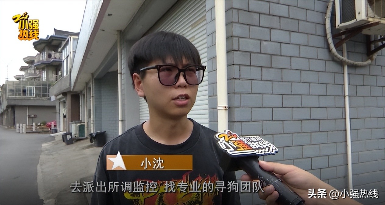 杭州重金寻狗启事,天价寻狗启事事件真相来了