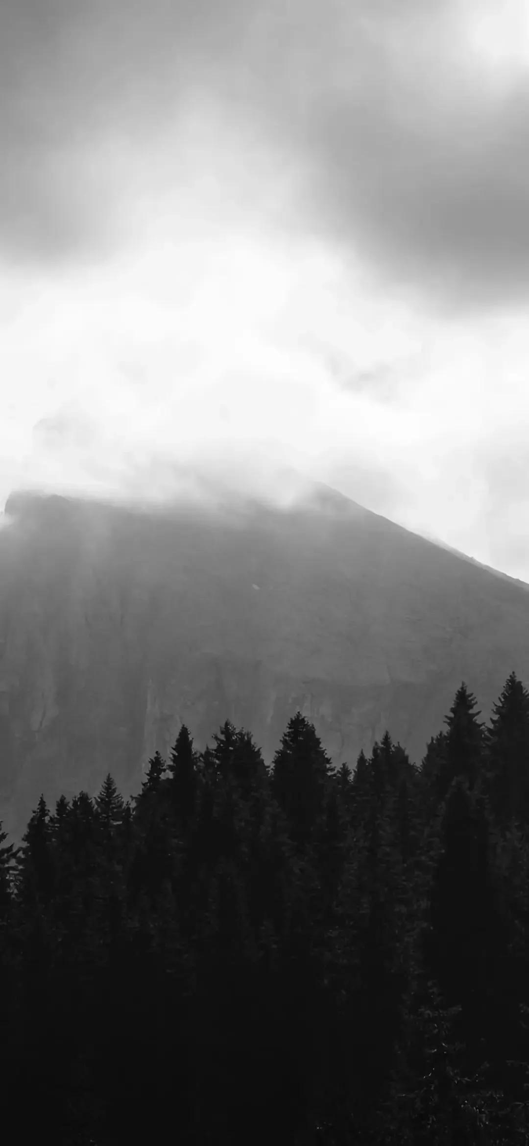 治愈微信聊天背景,微信聊天背景图片干净治愈可爱