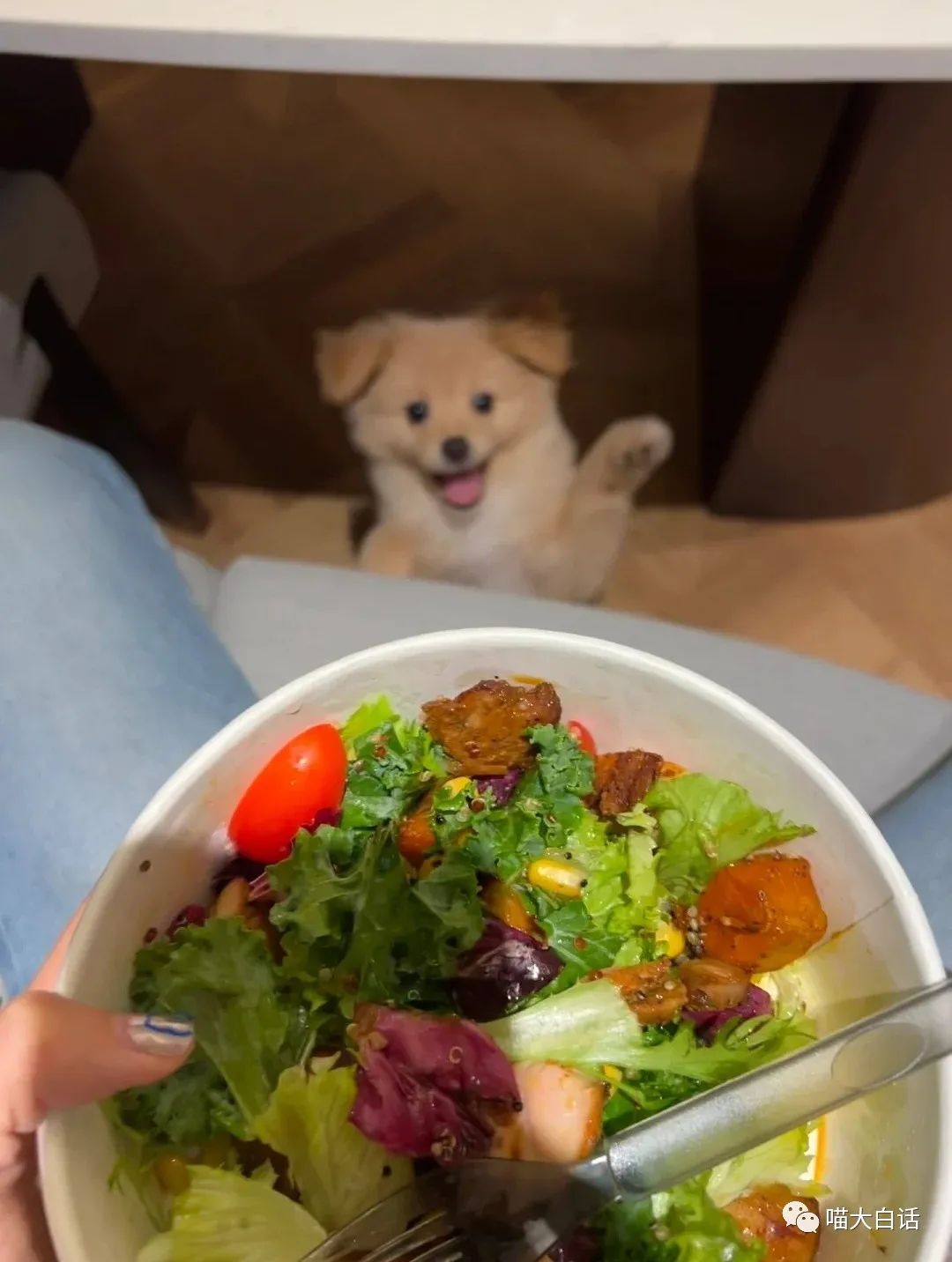 当富豪看到自己的国家队输球后...哈哈原来有钱人也会不高兴！