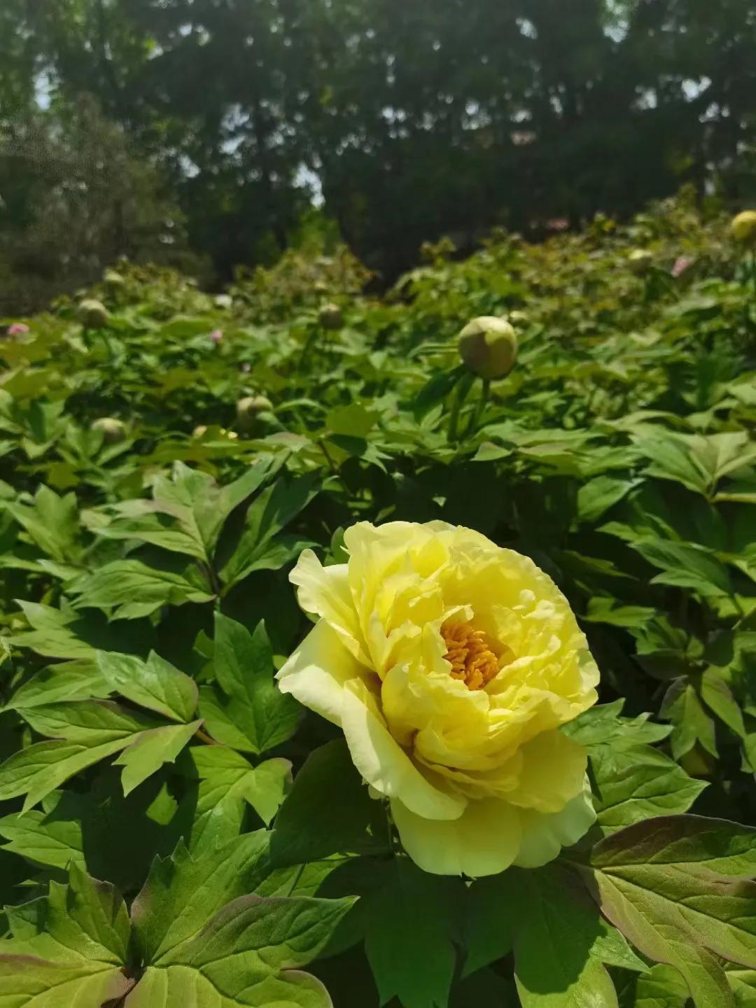 如果你没有活下去的理由,你会做什么呢?