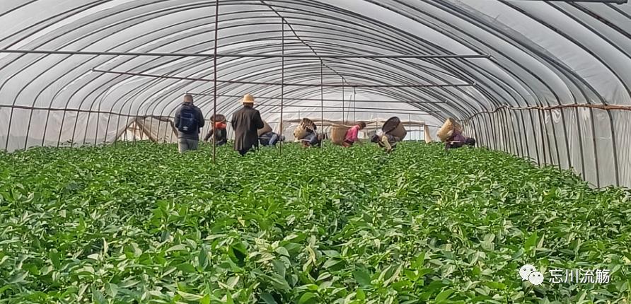 烟火人间藁城,烟火人间高唐