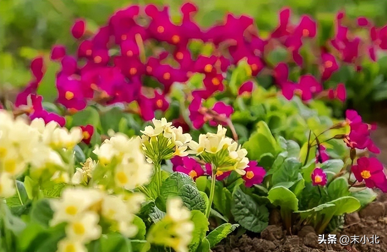 男人哄骗女人时，常说的三句“假话”，你听过几句？