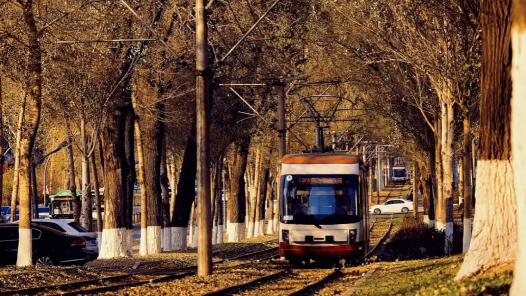 在长春上大学,太爽了吧!