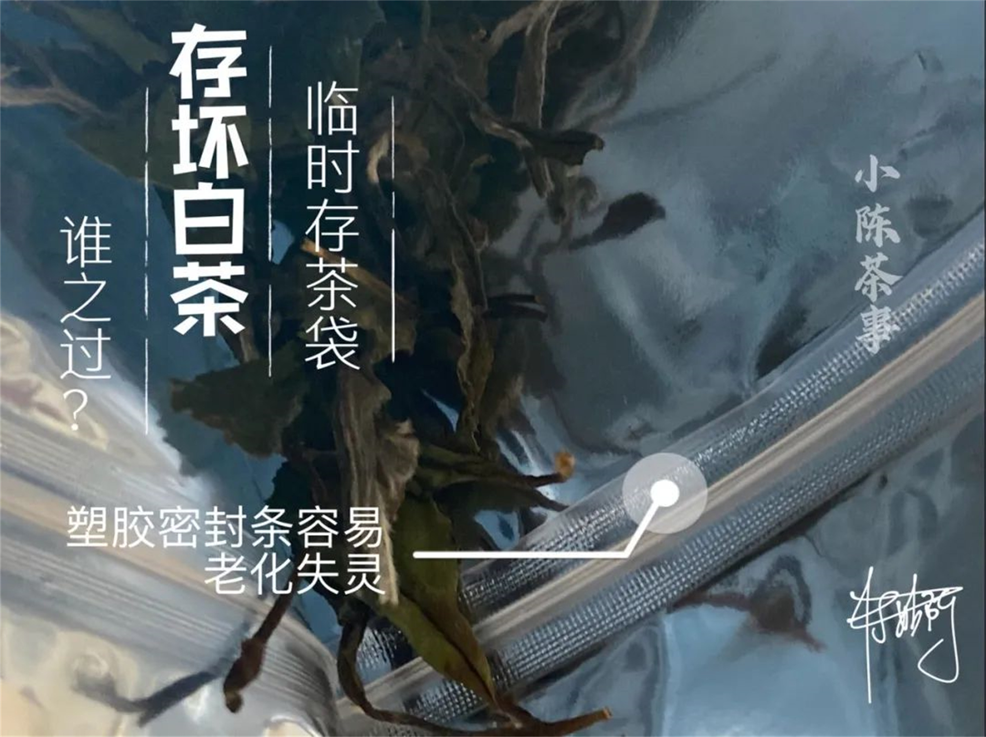 用防潮袋密封存茶可以吗,密封袋里的茶怎么储存