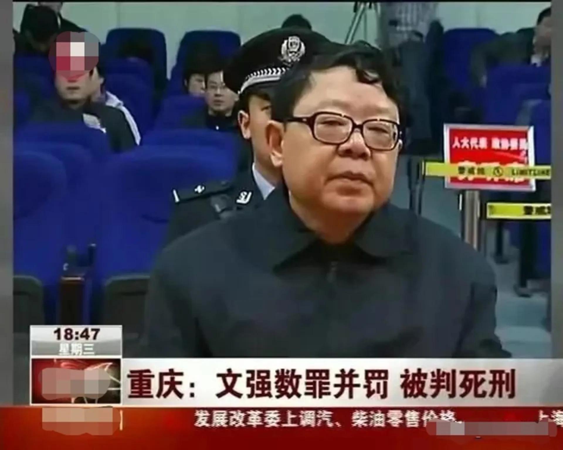 文强打黑风暴完整版,小说打黑局长