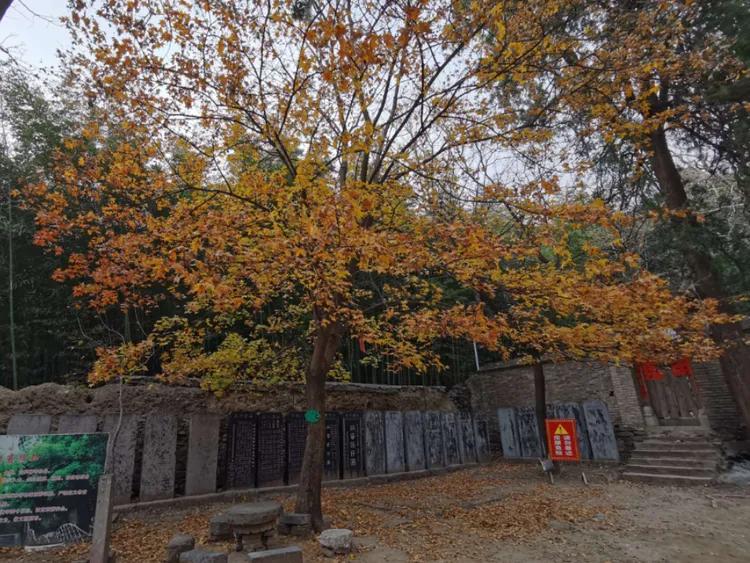 绝壁大梯白云寺,徒步白云寺