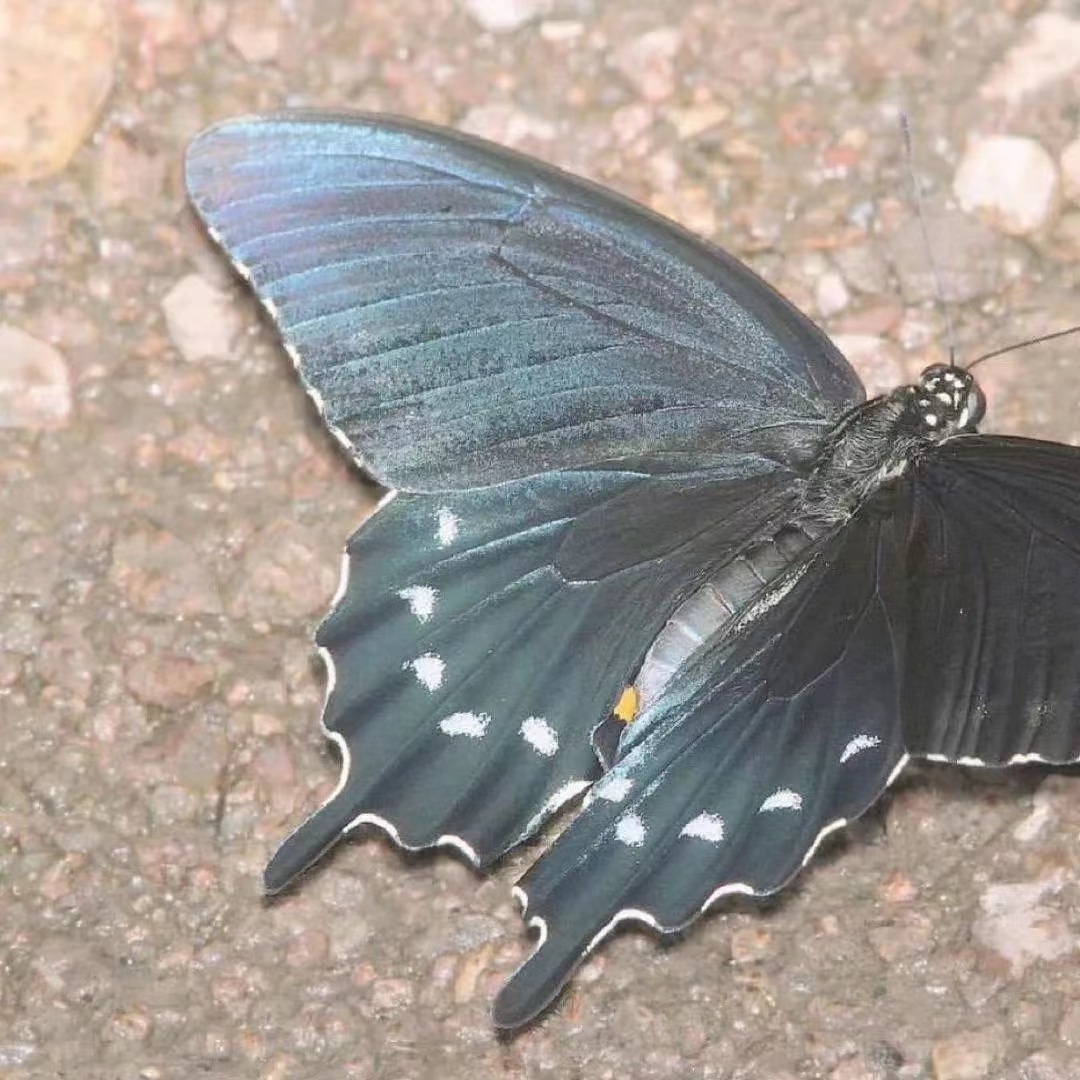 可爱日常的朋友圈文案,今日份朋友圈文案可爱