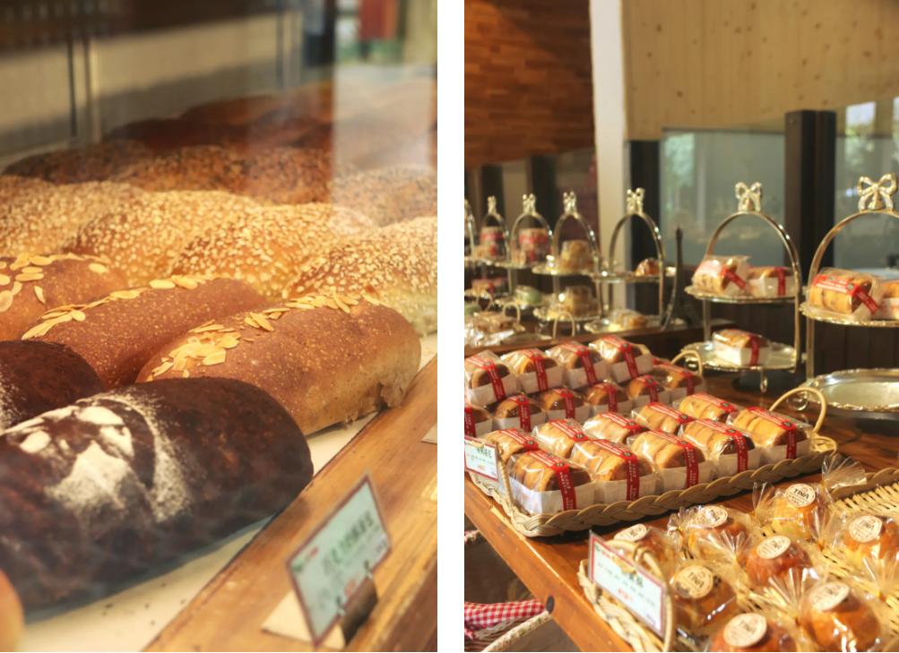 天府农博游玩心情,天府农业博览园一日游