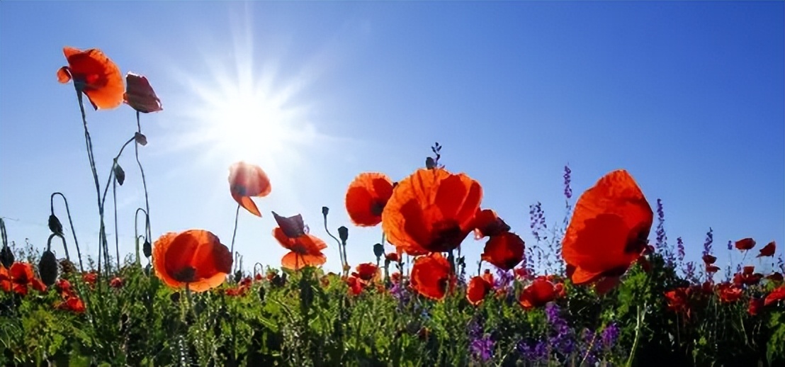 夏季眼睛紫外线太强防晒必备,夏季眼镜防晒成人