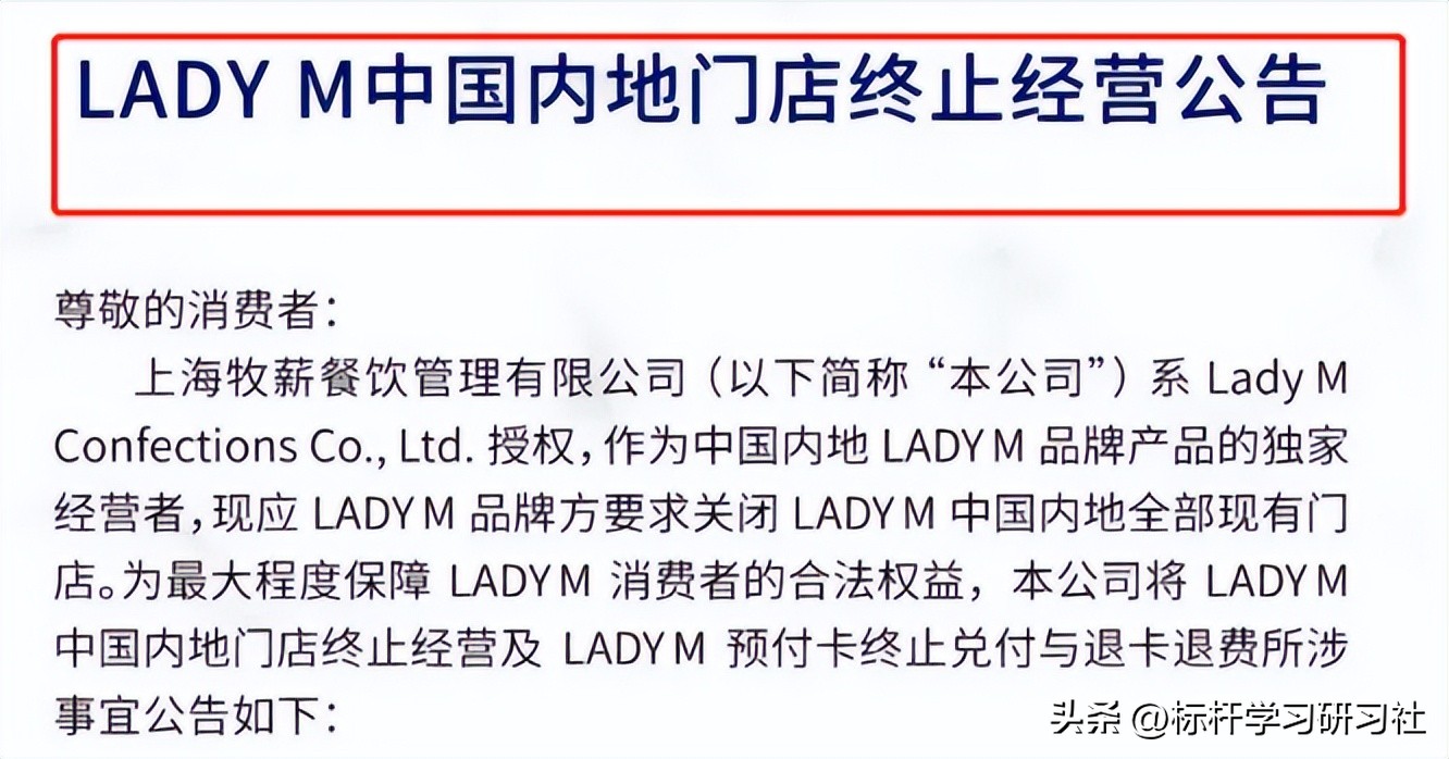 中国网红作死事件,最作死网红