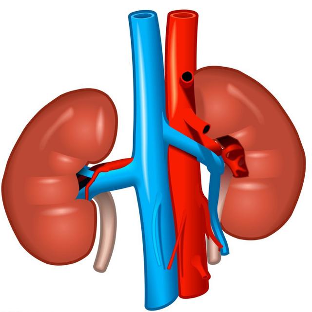 上厕所尿液特别黄怎么回事,上厕所时尿液很黄怎么回事