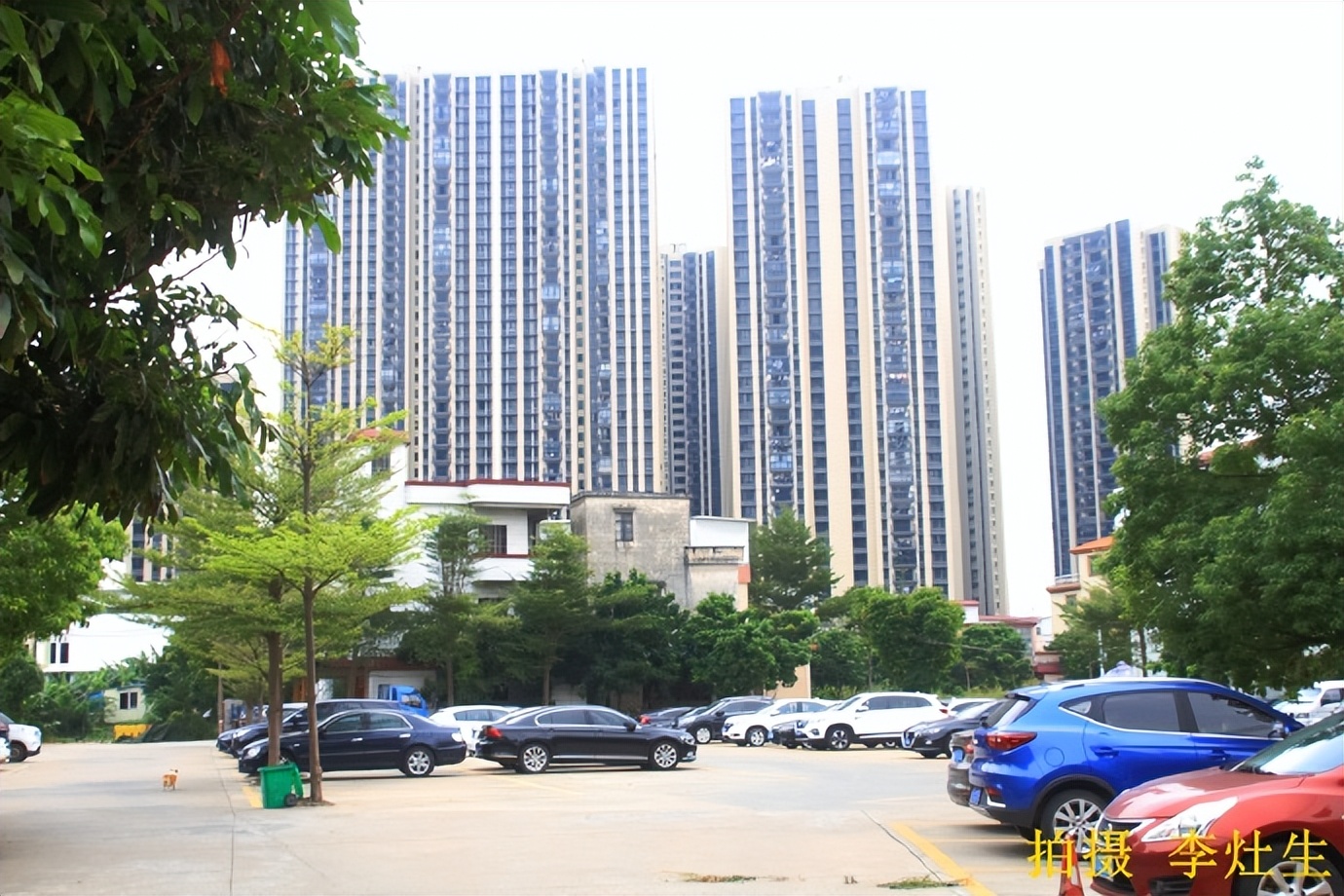 广东佛山顺德区乐从镇小涌村,顺德乐从小涌村历史