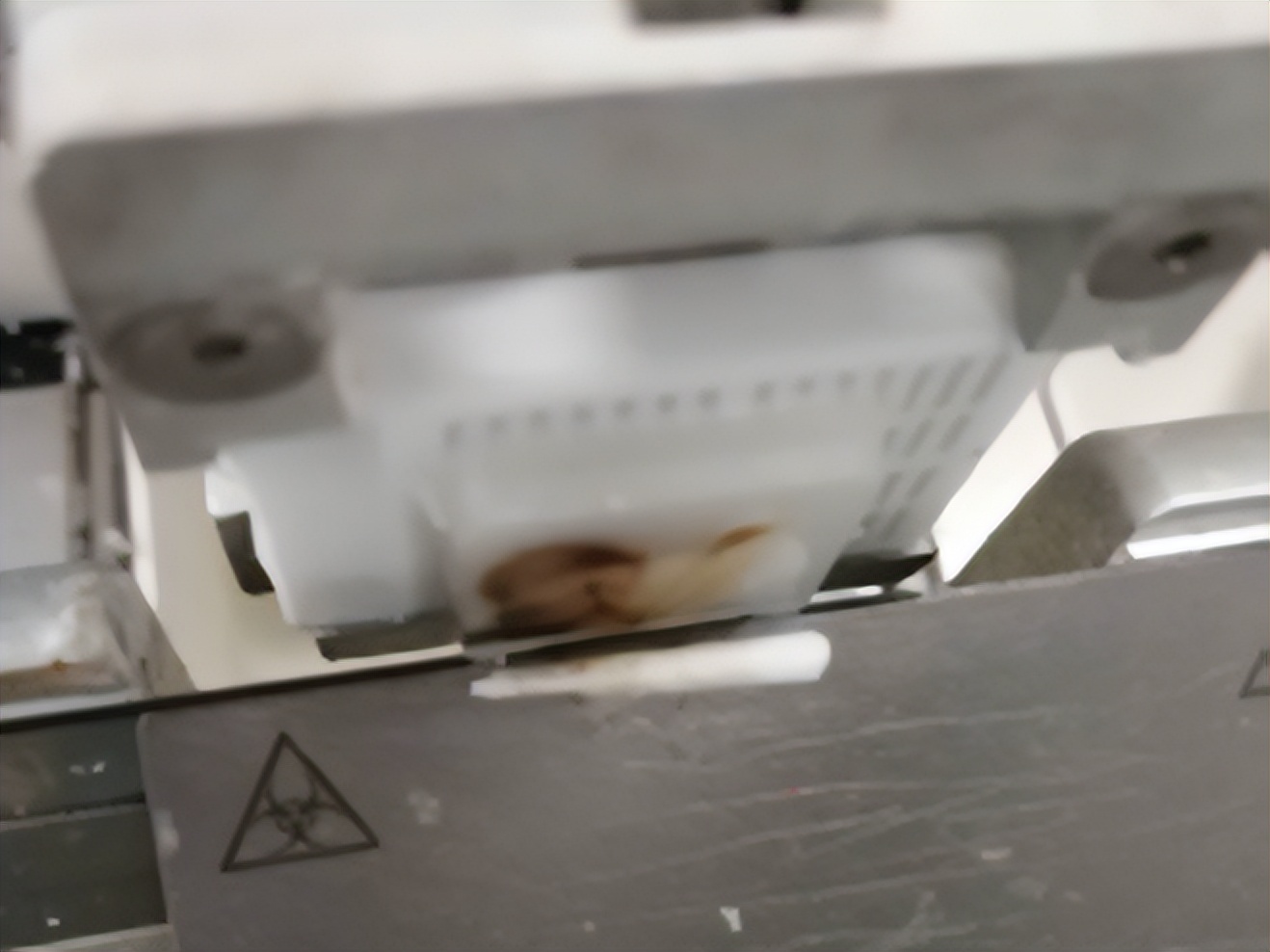 石蜡组织切片的注意事项,为什么石蜡切片不连贯